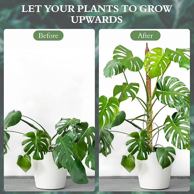 2 Pack 24 Inch Coco Coir Moss Poles for Climbing Indoor Plants - Handmade Plant Support for Creepers to Grow Upwards