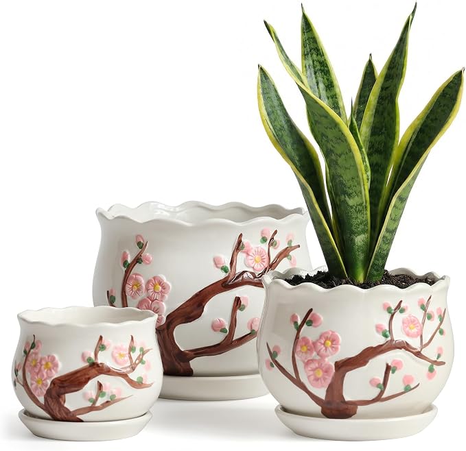 STHIE Ceramic Plant Pots with Drainage Holes and Saucers, Round Flower Pots for Indoor Plant, 4/5.2/6.6 Inches Small Flower Planters Set of 3