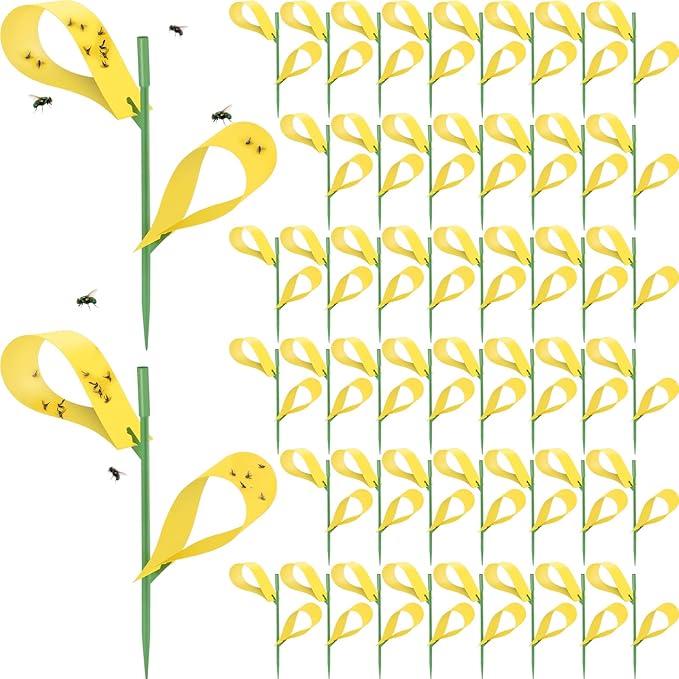 Qualirey 200 Pcs Sticky Houseplant Traps Fungus Gnat Fruit Fly Trap Sticky Houseplant Stakes Insect for Indoor Outdoor Garden Aphids, Whiteflies, Fruit Flies, Fungus Gnat, and Other Insect (Yellow)