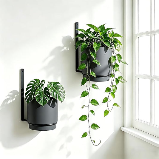 2 Pcs Wall Mounted Hanging Planter Vase for Indoor Outdoor Plants,Modern Metal Wall and Ceiling Hanging Flower Pot with Removable Flower Pot,Minimalist Decor for Herbs Succulents Flowers,5.9Inch,Grey
