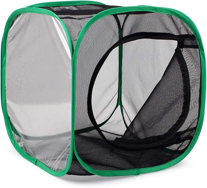 RESTCLOUD Insect and Butterfly Habitat Cage Terrarium Pop-up 12 X 12 X 12 Inches