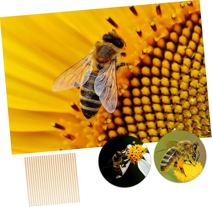 VANZACK 300pcs Bee Craft Supplies Straw Bee House Tubes Easy Install Outdoor Beekeeping Nesting Tubes