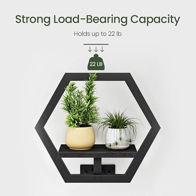 CHOEZON Wall Planters for Indoor Plants Set of 2, Wall Plant Holder, Floating Shelves for Living Room, Bedroom, Kitchen, Home Office, Black TBJ40P2BB