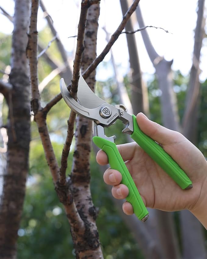 WORKPRO 8.5" Bypass Pruning Shears, Professional Garden Shears with Forged Stainless Steel Blades, 3/4" Cut Capacity, Spring-Loaded, Safety Lock, Hand Pruner for Trimming, Bonsai, Flowers