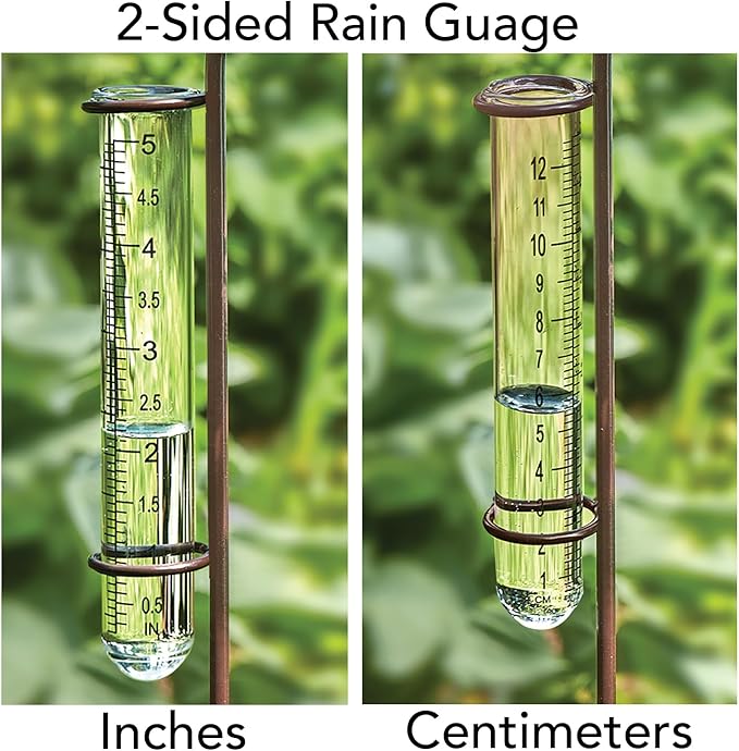 Bits and Pieces Bird Rain Gauge - 5 Inch Glass Rain Gauge with Metal Stake, Decorative Bird Yard Stake Lawn Garden Décor