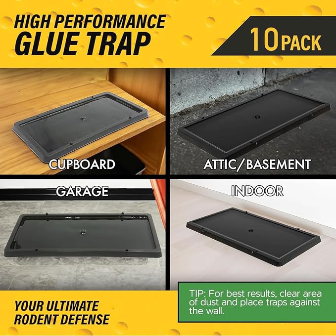 TRATPER Glue Traps for Mice,Rat,Mouse,Snake,Lizard,Insect. 10 Pack. Extra Strength,Pre-Baited Adhesive.Heavy Duty Plastic Tray.Non-Toxic,Chemical-Free Pest Control for Home. 10Pack
