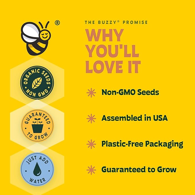 Buzzy Seeds Sensitive Plant Grow Kit - Basin Ceramic Planter - Complete Indoor Gardening Kit with Seeds, Coconut Husk Growing Medium & Genuine Pots - 100% Grow Guarantee