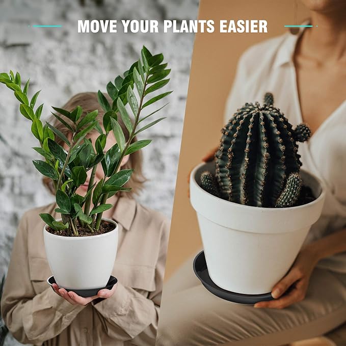 6 Pack Plant Saucer 4 6 8 10 12 14 16 18 20 22 Inch Plastic Plant Tray, Sturdy and Durable Flower Pot Container Accessories Plant Pot Saucers for Indoor and Outdoor (6 Inch, Black)