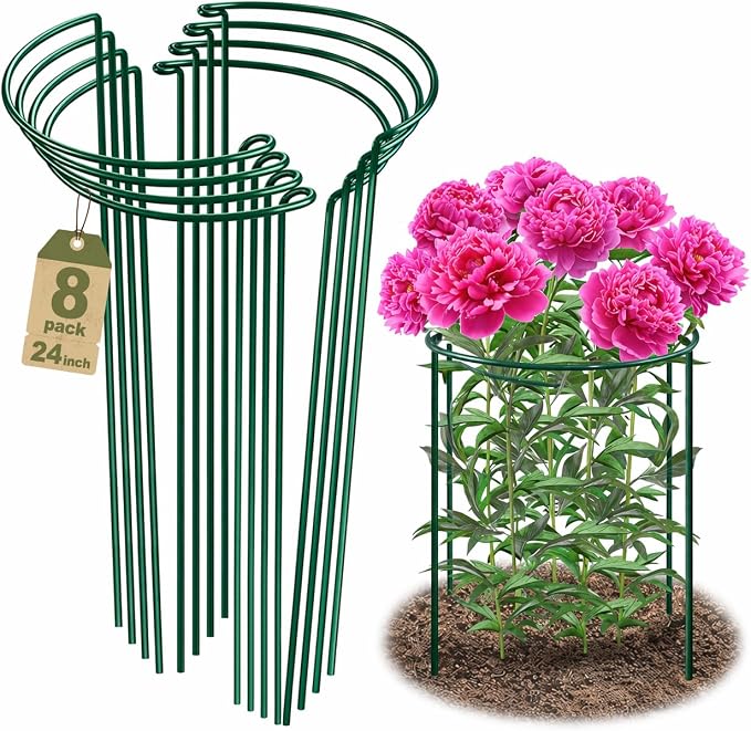 Peony Cages and Supports, 8 Pack Large Half Round Plant Support Cage 10" x 24", Heavy Duty Garden Plant Stakes for Indoor & Outdoor Plants, Peonies, Hydrangeas, Tomatoes & Flowers