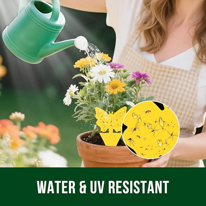 Garsum Gnat Killer Indoor Fruit Fly Traps Yellow Sticky Plants Bug Fungus Fly Catcher Outdoor,36 Pack