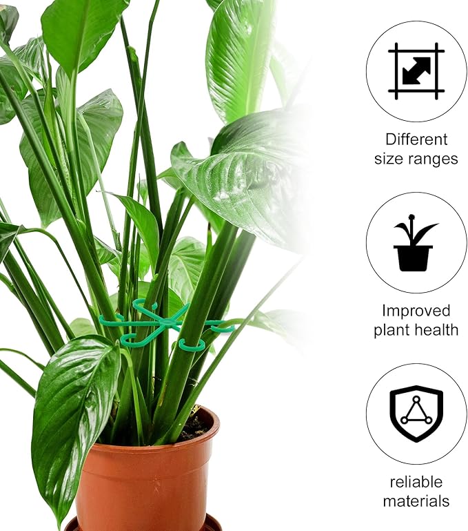 XIHIRCD 4pcs Plant Stem Support, Climbing Houseplant Leaf Support Ring Plant Climbers Stem Holders Plants Climbing Rack Plant Flower Gardening Growth Cultivation Accessories Tools(Green)
