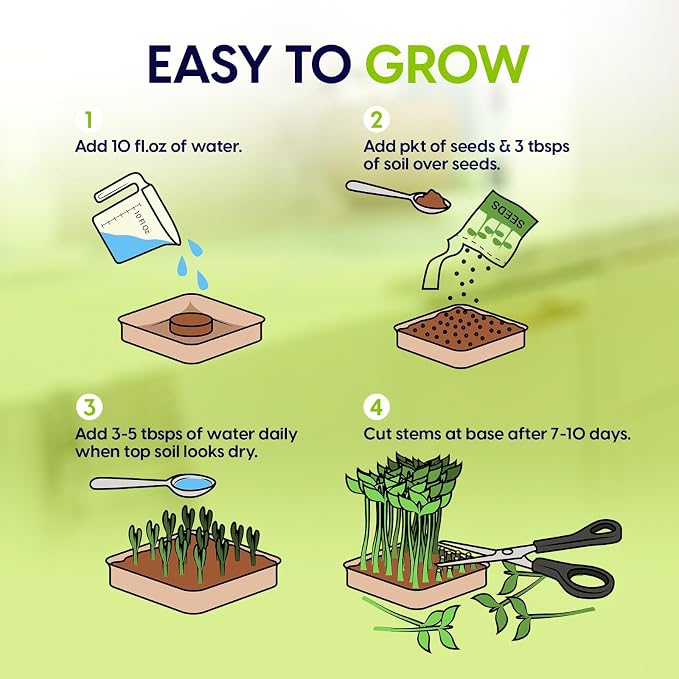 ZESTIGREENS Microgreens Growing Kit, 6-Grow Variety Pack with Most Popular & Colorful Microgreens Varieties