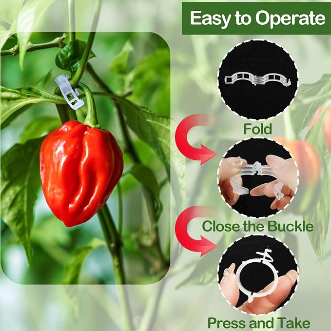 100 Pcs Plant Support Clips, Secure Plastic Plant Clips for Support Grape Vine, Tomato Clips for String Trellis to Grow Upright and Healthier, Garden Clips Outdoor Indoor Use(White)