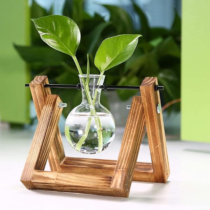 Kingbuy Plant Propagation Station Bulb Vase, 1 Bulb Vase | Air Plant Terrarium, Wooden Swivel Holder, Desktop Glass Planter, For Indoor Water Plants