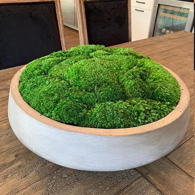 Preserved Pole Moss Pillow Bun Cushion Natural Green Decorative Real Natural DIY Kit Terrariums Gardenning Art Wall Decor Florist Decor Easter Table Decor Wedding(4.5 sq.ft., Green-B)