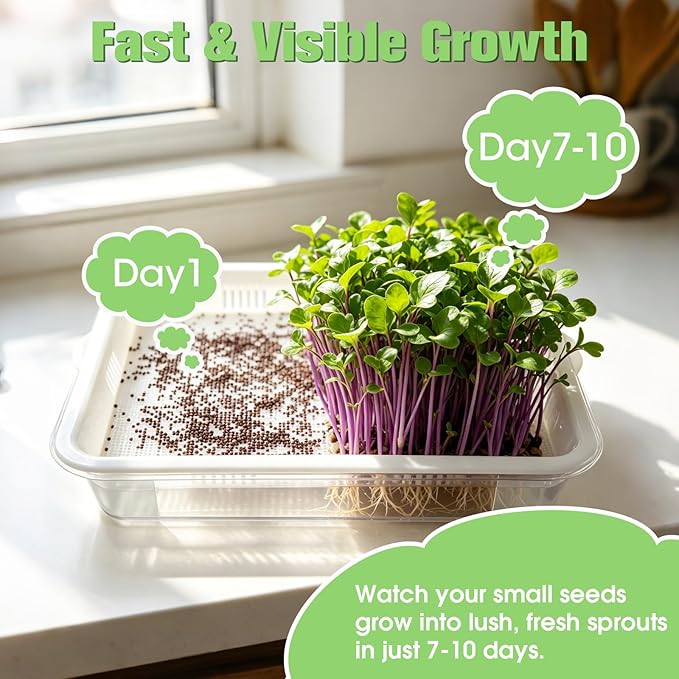 3 Pack Hard Acrylic Microgreens Growing Trays, Visual Soilless Sprouting Kit with Silicone Mats & Spray Bottle, Seed Germination Tray for Wheatgrass, Cat Grass & Vegetables