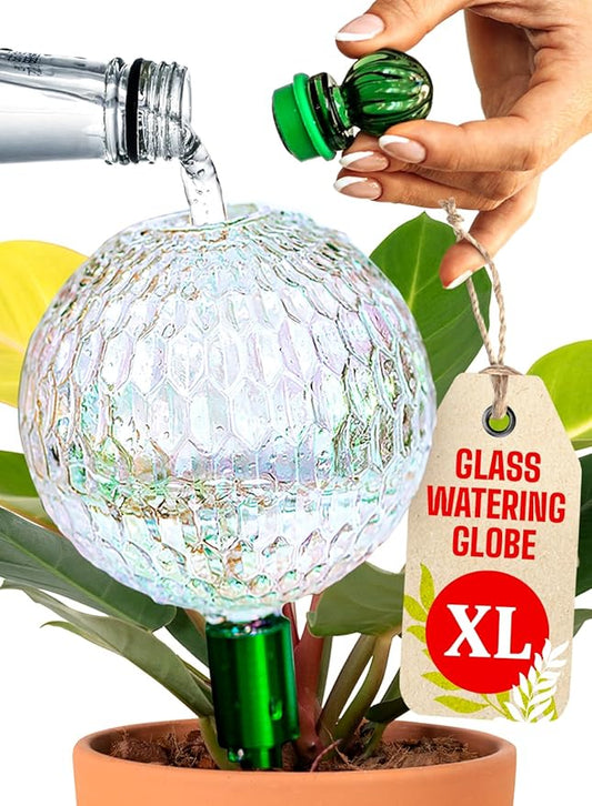 16 Oz Plant Watering Globes for Indoor Plants with Metal Self Watering Planter Insert - Premium XL Glass Hand-Blown Globe - Automatic Plant Waterer Indoor, Gift Idea for Gardeners [1 Globe, Textured]