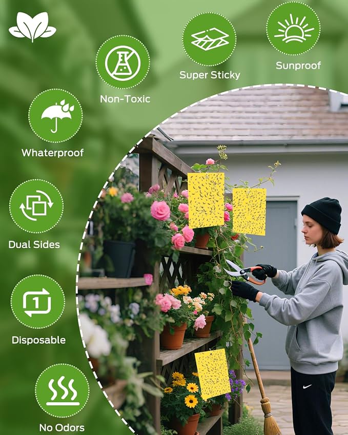 Plant Bug Sticky Traps Indoor/Outdoor -25 PCS + Gardening Gloves for Women -Yellow Sticky Gnat Traps for Indoor Plants, Fruit Fly Traps for Kitchen -Plant Lover Gift, Non-Toxic