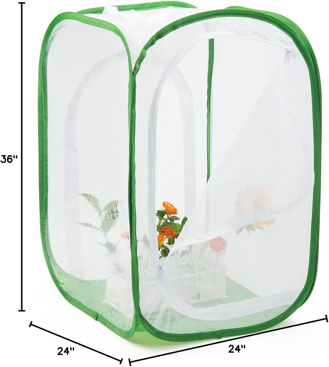 Two Doors Large Monarch Butterfly Habitat, Insect Mesh Cage, Caterpillar Enclosure Terrarium Pop-up (24 x 24 x 36 inches)