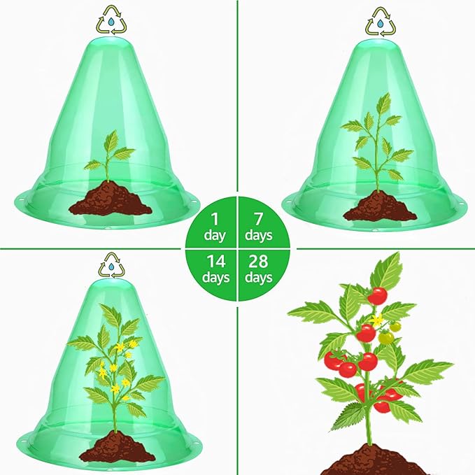 【10 Pieces】 Garden Cloches for Plants, Large Plant Covers Plant Protectors Transparent Bell Jar Cloches to Protect Plants from Birds, Slugs, Frost, Freeze Weather, 10.6" D x 9.5" H, Green