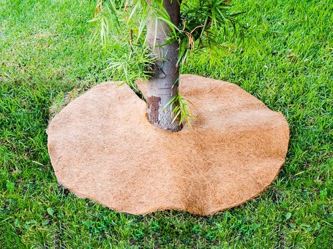Envelor 3 pcs Coconut Fibers Mulch Ring 36 Inches Tree Protector Mat Coconut Mulch Cover Natural Coconut Fiber Weed Control Rings, Tree Ring Plant Cover for Indoor Outdoor Plants, Pot, Landscaping