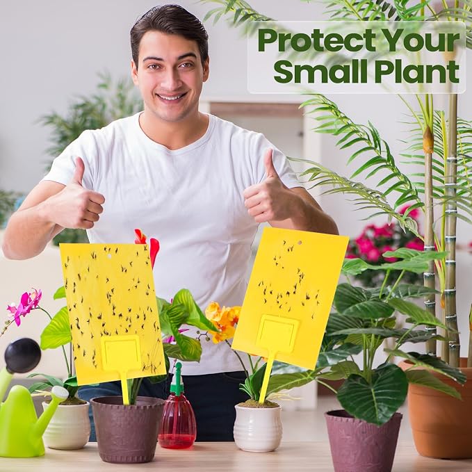 Qualirey 50 Pcs Yellow 6 x 8 Inch Sticky Traps for Gnats Dual Sided Fruit Fly Sticky Traps for Indoor and Outdoor Plant with Twist Ties and Plastic Holders for Fungus Gnats, Bug, Flying Insect