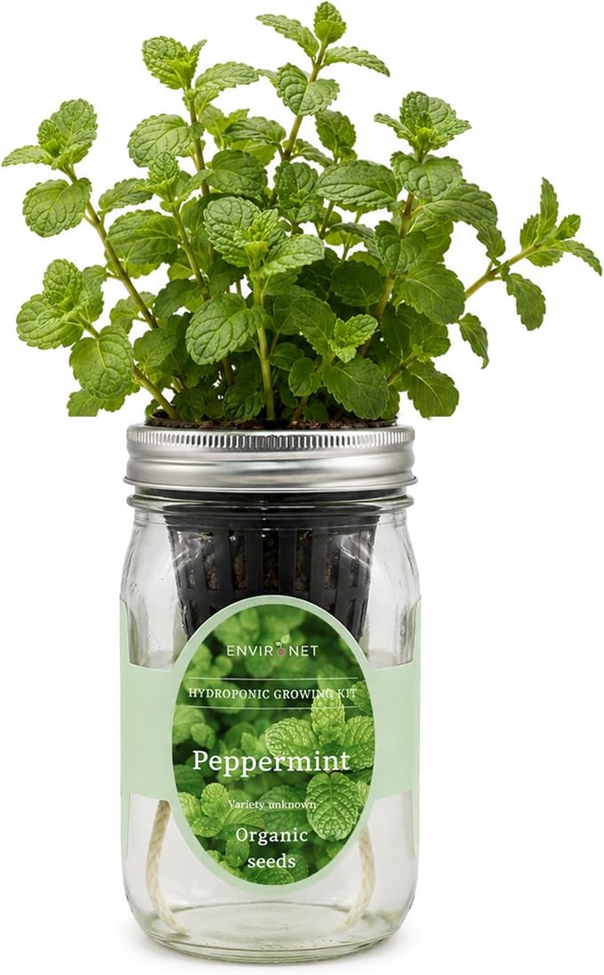 Hydroponic Herb Growing Kit, Self-Watering Mason Jar Herb Garden Starter Kit Indoor, Grow Your Own Herbs from Seeds (Peppermint)