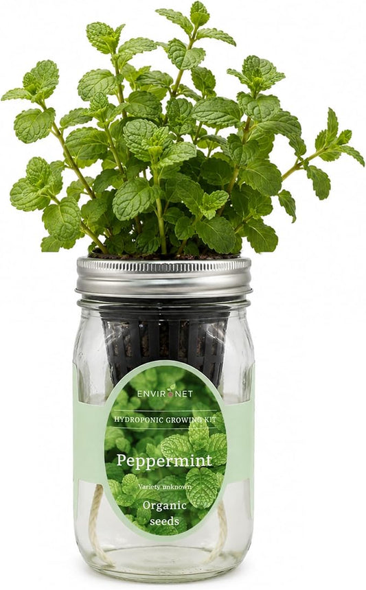 Hydroponic Herb Growing Kit, Self-Watering Mason Jar Herb Garden Starter Kit Indoor, Grow Your Own Herbs from Seeds (Peppermint)