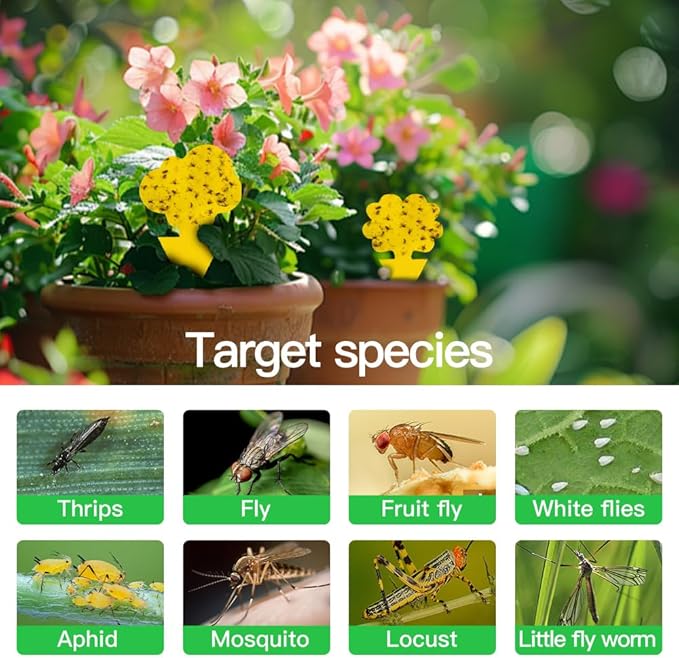 58 Pack Gnat Killer Sticky Traps for Plants - Yellow Fungus Gnat Sticky Trap for Indoor Houseplants, Fruit Flies, Whiteflies, Aphids - Family Friendly Design, Flower and Cloud Shapes