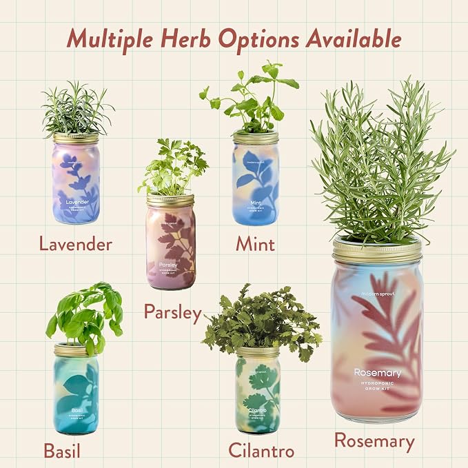 Modern Sprout Mason Garden Jar - Self-Watering Hydroponics Growing System Kit with Organic Herb Seeds - Jar Planter for Indoor Herb Garden - Seed Starter Kit - Home Decor & Gifting - Rosemary