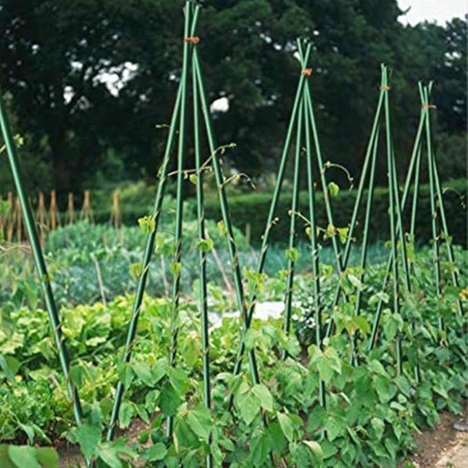 Growsun 6ft 50 Pack Tomato Stakes Plant Stake Supports Garden Fences Trellis Metal Plastic Coated Plant Cage Supports Climbing