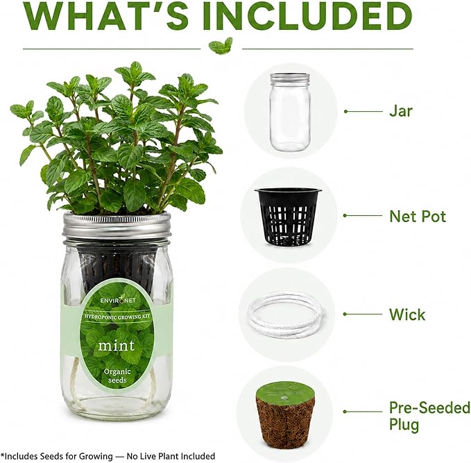 Hydroponic Herb Growing Kit, Self-Watering Mason Jar Herb Garden Starter Kit Indoor, Window Herbs Garden, Grow Your Own Herbs from Organic Seeds (Mint)
