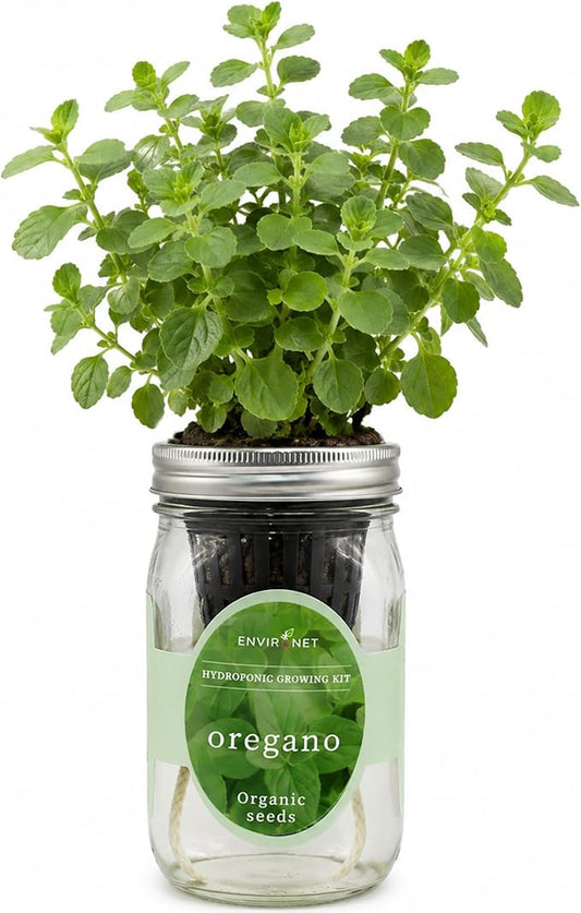 Hydroponic Herb Growing Kit, Self-Watering Mason Jar Herb Garden Starter Kit Indoor, Grow Your Own Herbs from Organic Seeds (Oregano)