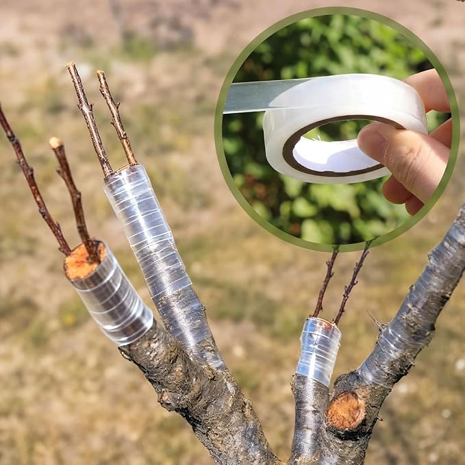 Tenceur 12 Rolls 0.5"x1080" Nursery Grafting Tapes Nursery Moisture Barrier Stretchable Garden Grafting Film Self Adhesive Plants Repair Tapes for Fruit Trees, Plants, Broken Stem, Floral