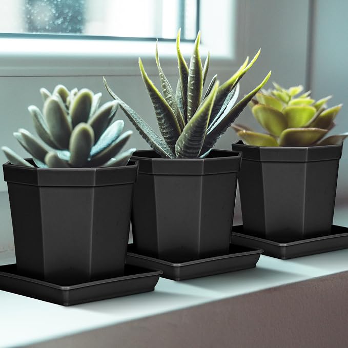 LWALRS Square Plant Saucer 10 Inch 2 Pack, Durable Plastic Plant Trays Plant Pot Saucers, Square Planters for Indoors and Outdoors Plants, Garden Large Plant Saucers for Pots Black.