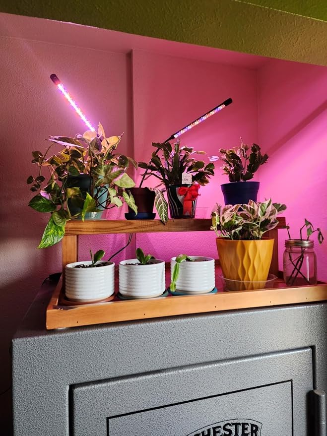 Grow Lights for Indoor Plants 2 Heads Full Spectrum, Flexible Gooseneck Clip On Plant Light 40 LEDs, 3/9/12H Auto Timer 3 Modes 10 Brightness Levels for Seed Starting, Flowers & Vegetables