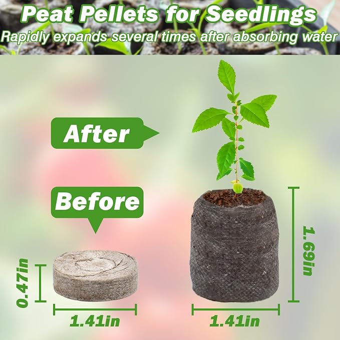 ZeeDix 50 Pcs 36mm Seed Starter Pods, Compressed Peat Pellets Seed Starter Soil for Seed Starting, Growing Vegetables, Herbs & Flowers, Indoor Outdoor Gardening Transplanting