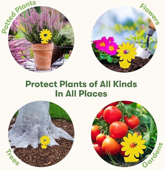 BugMD Sticky Bug Traps (12 Pack) - Indoor Fruit Fly Killer, Fungus Gnat Killer, Plant sticky traps for Bugs, Yellow Sticky Fly Traps for Plants, Gnat for Plants, Odorless