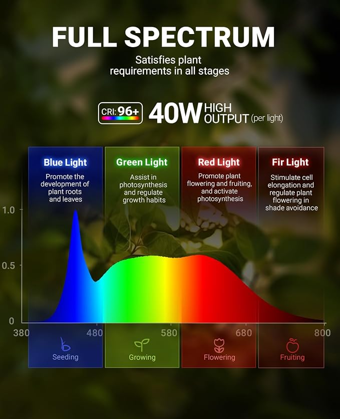 Barrina TR40a Track Plant Lights for Indoor Growing, 40W Ceiling Grow Lights with Adjustable Beam Angle (15°-60°), 5000K Full Spectrum Wall Plant Light with Timer for Greenhouse, Black Cover