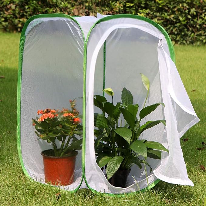 24" Insect and Butterfly Habitat Monarch Butterfly Enclosure for Caterpillars Pop Up 24 Inches Tall Pack of 2