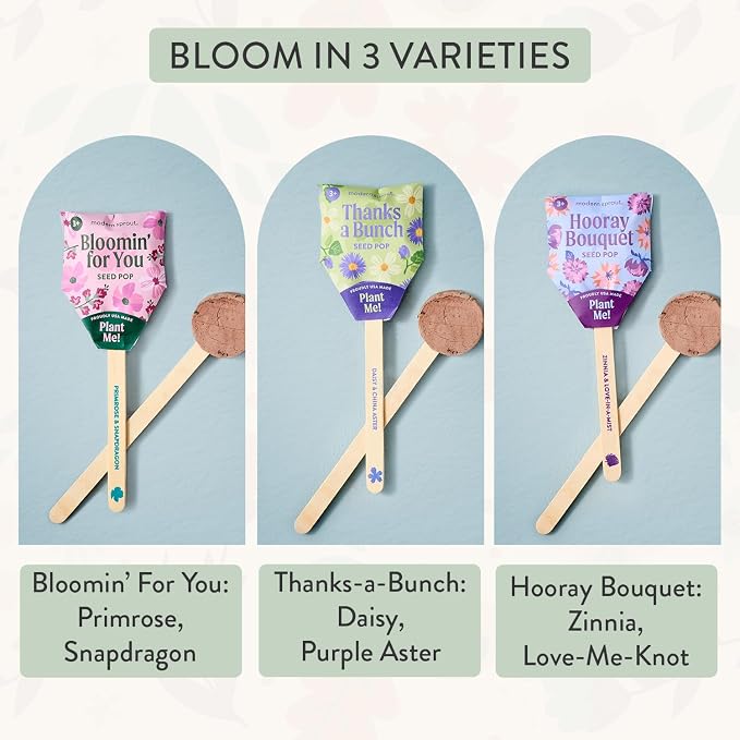 Modern Sprout Seed Pops - Gifts for Plant Lovers & Kids - Organic Non-GMO Hooray Bouquet Bloomin' for You & Thanks-a-Bunch Wildflower Seeds - Spring Activity for Kids - Ideal for Indoor & Outdoor-12pk