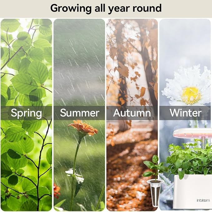 Wild Flower Seed Hydroponic Pod Kit Compatible with Aerogarden, Ahopegarden, Letpot, 7 Pods with Variety Seeds(Blush Hibiscus, Coneflower, Dahlia, Viola, Lavender, French Marigold, Snapdragon)