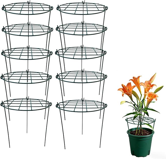 MTB Supply 10 Pack 16 x 24 inch Green Peony Cages Grow Through Plant Support Stakes Flower Support Hoops Heavy Plants Brace Rings