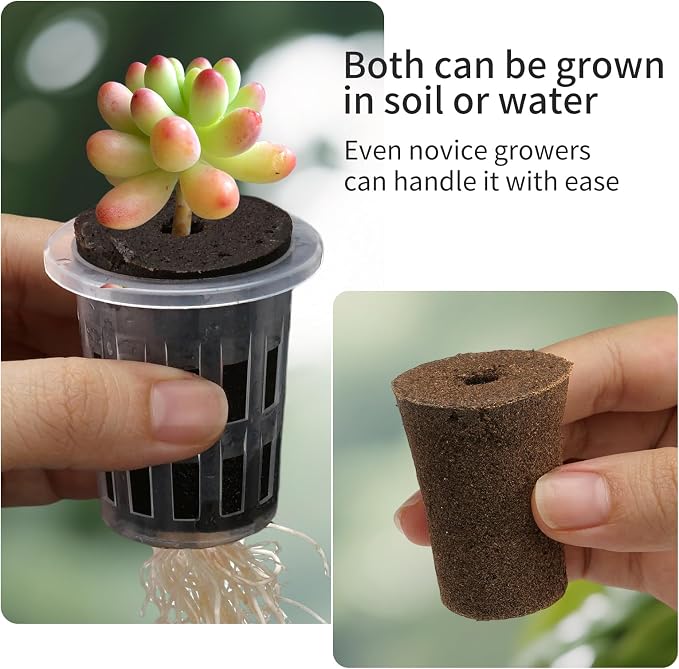 6 Pack Clear Hydroponic Nursery Kit, Transparent Plant Starter Hydroponic Pots for Seed Starting, Hydroponic System for Nursery