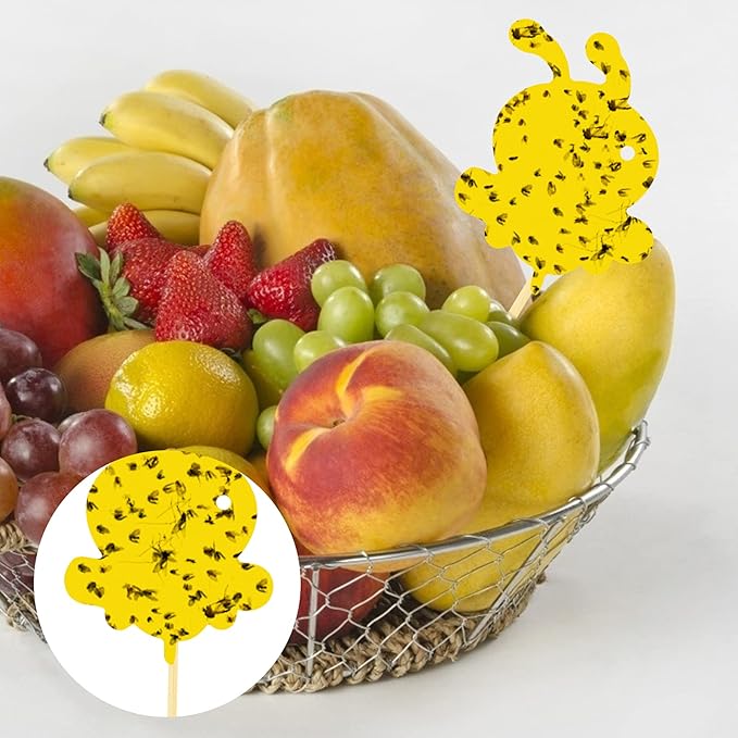 96 Pack Yellow Fungus Gnat Sticky Traps, Gnat Traps for House Indoor Gnats Killer, House Plant Gnats Bugs Sticky Killer Fruit Fly Traps for Indoor