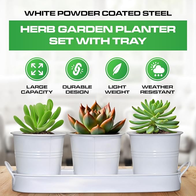 Plexon Herb Planter Indoor Garden Set of 3 with Tray, Metal Herb Pots for Indoor Plants, Round Kitchen Garden Kit Ideal for Windowsill Planter or Countertop, White Powder Coated