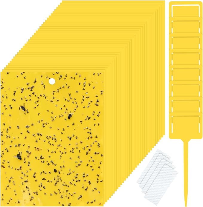Qualirey 250 Pcs Yellow 6 x 8 Inch Sticky Traps for Gnats Dual Sided Fruit Fly Sticky Traps for Indoor and Outdoor Plant with Twist Ties and Plastic Holders for Fungus Gnats, Bug, Flying Insect