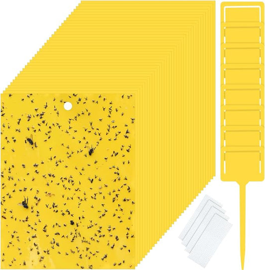 Qualirey 250 Pcs Yellow 6 x 8 Inch Sticky Traps for Gnats Dual Sided Fruit Fly Sticky Traps for Indoor and Outdoor Plant with Twist Ties and Plastic Holders for Fungus Gnats, Bug, Flying Insect
