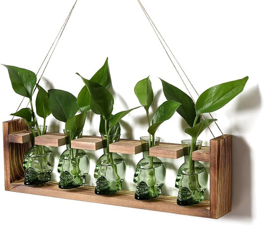 Plant Terrarium Propagation Stations Halloween Skull Planter Vase Skulls Decor with Wooden Stand Gife for Father - 5 Vases
