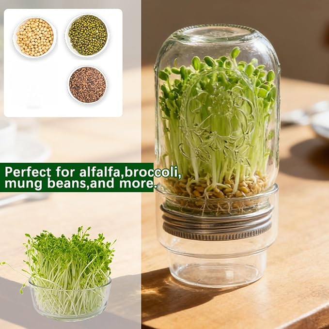 Sprouting Jar Kits, Wide Mouth Quart Mason Jars with Stainless Steel Screen Sprout Lids, Seed Sprouter Setfor Bean Alfalfa Vertical Vegetable